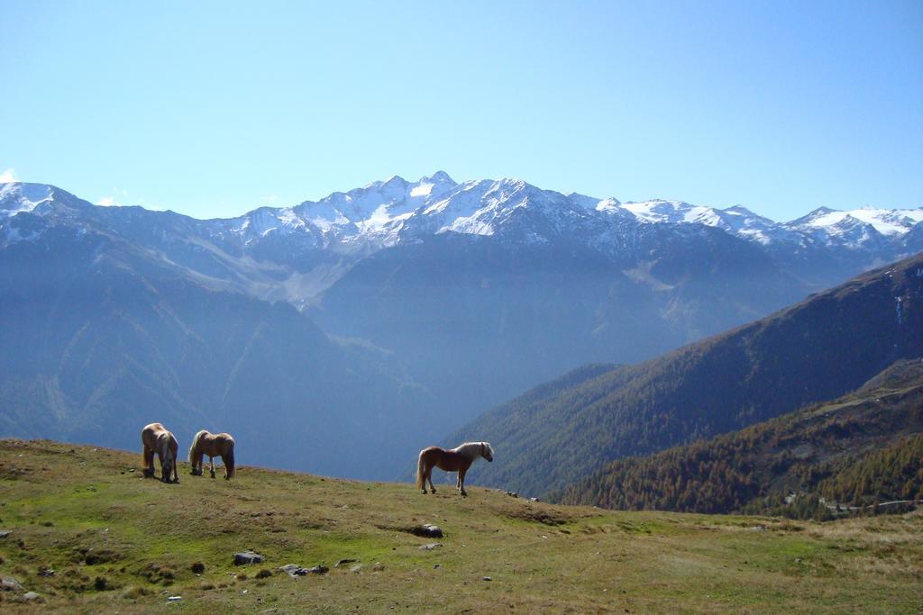 Landhaus Bachler Brixen im Thale Esterno foto