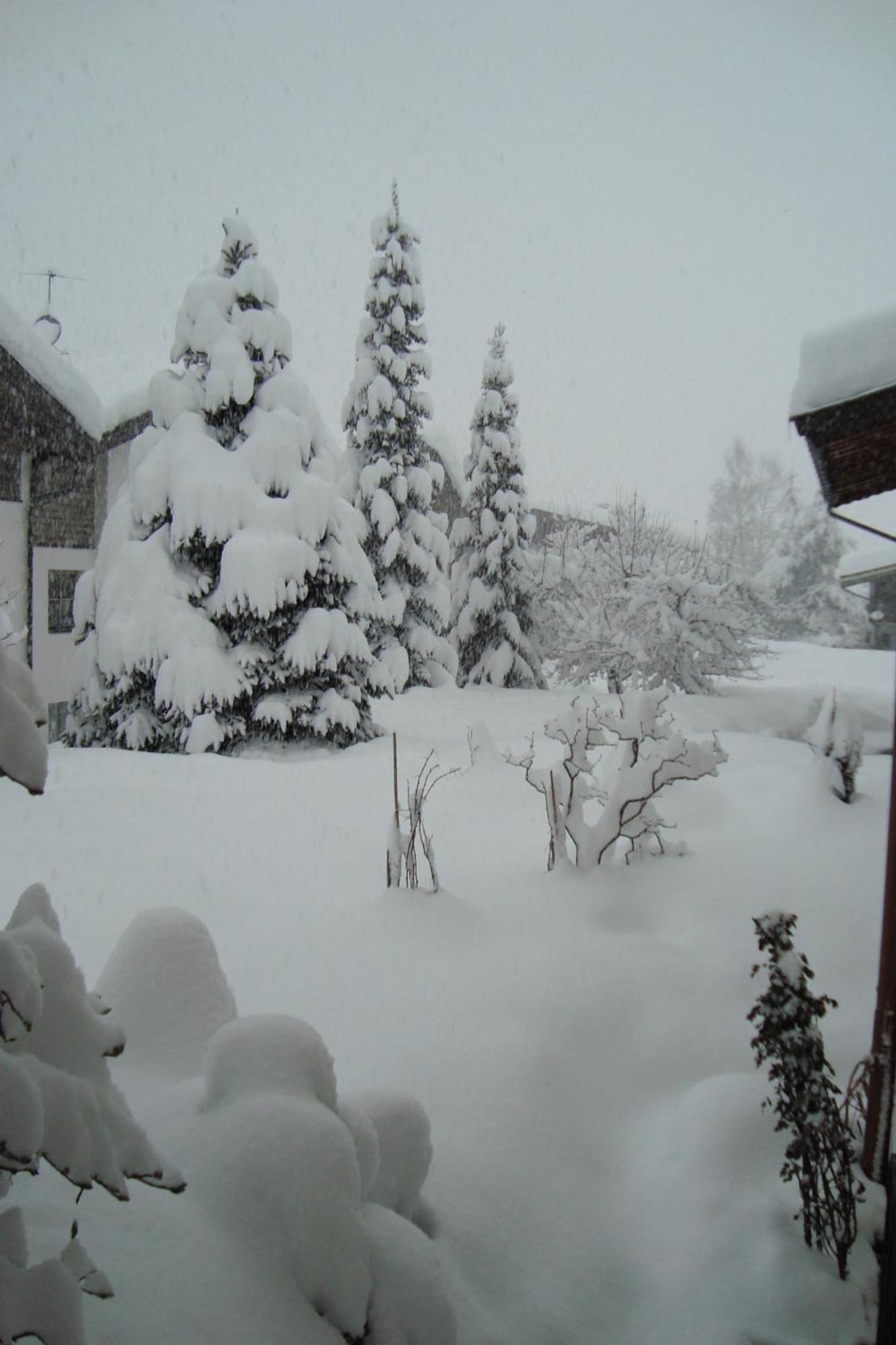 Landhaus Bachler Brixen im Thale Esterno foto