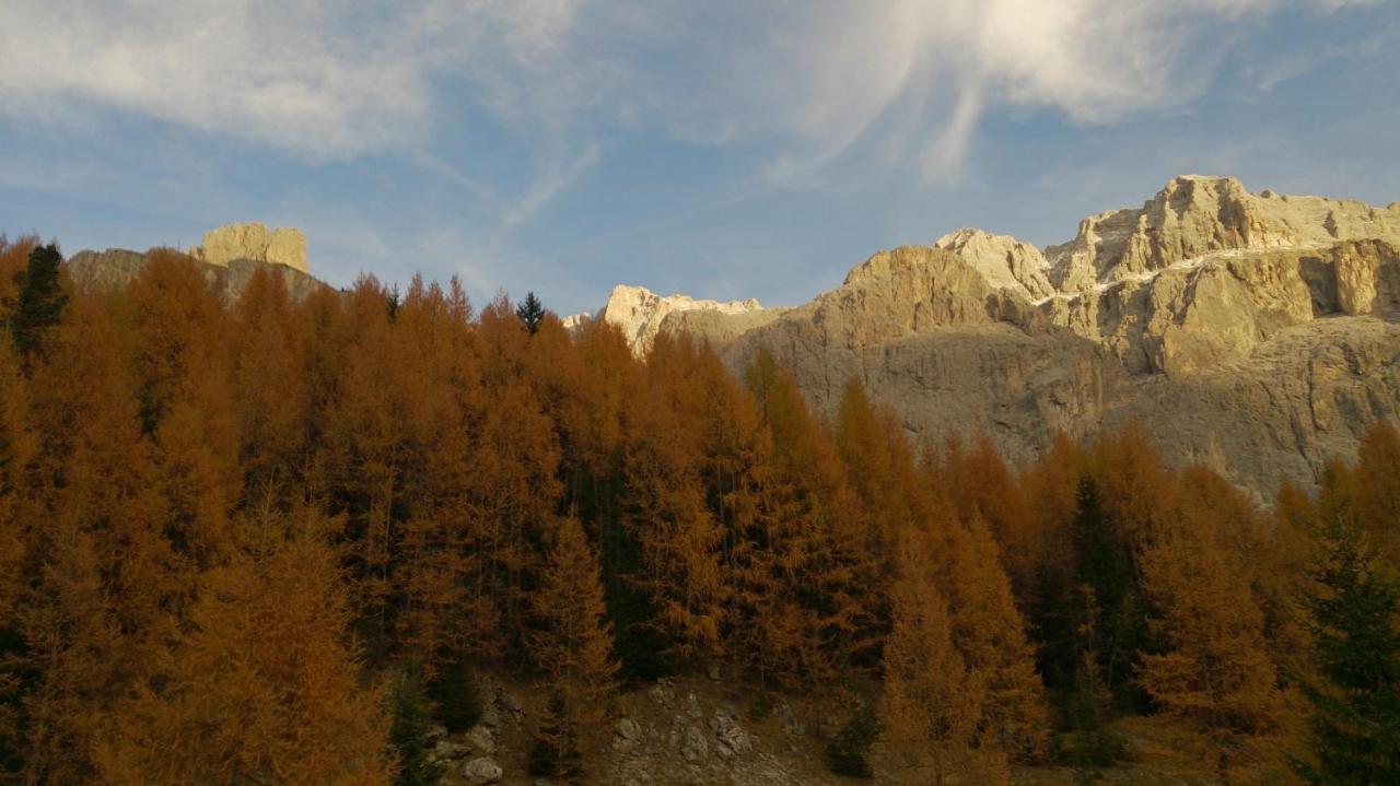 Landhaus Bachler Brixen im Thale Esterno foto